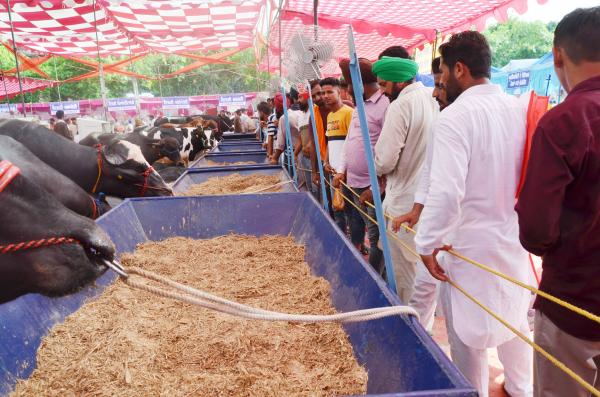 Farmers visited the Pashu Palan Mela (21-9-2019)